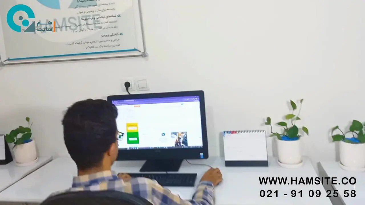 رشد چشمگیر کسب ‌و کارها در دنیای دیجیتال با آژانس دیجیتال مارکتینگ هم سایت