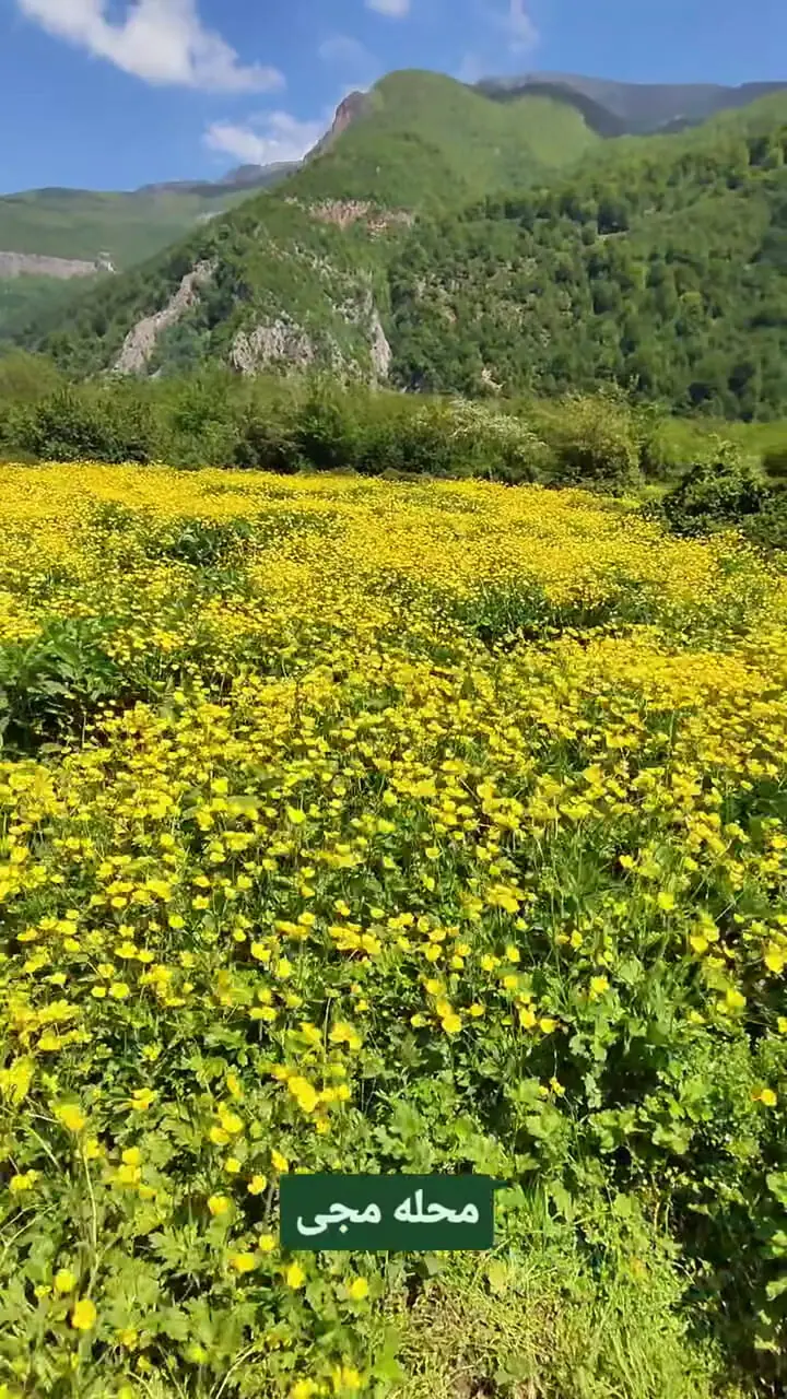 فیلم طبیعت رؤیایی دشت دریاسر شهسوار