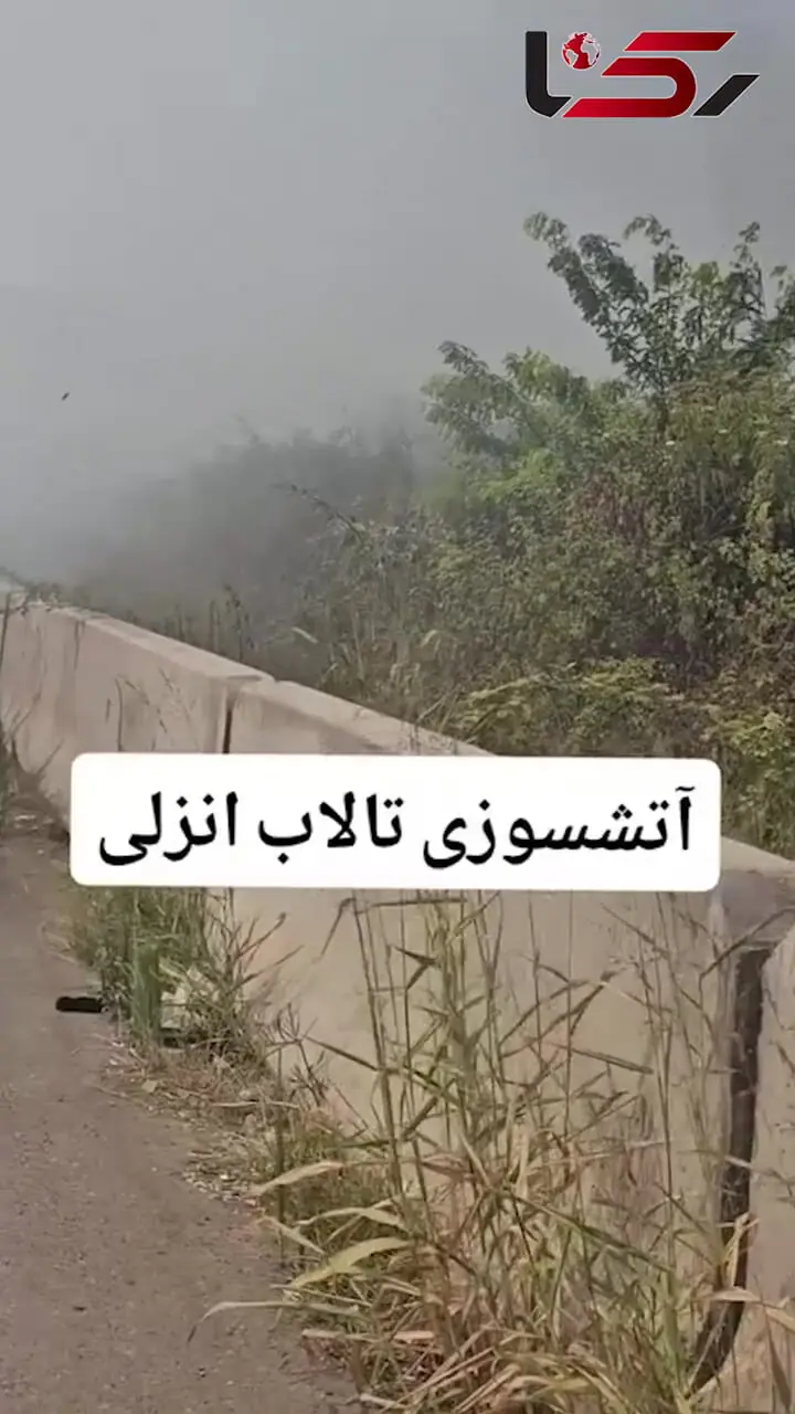 آتش سوزی شدید در تالاب انزلی + فیلم تلاش آتش نشانان برای مهار حریق