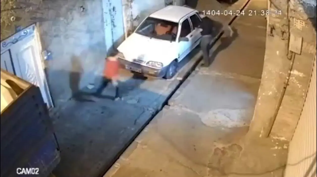 فیلم حمله ناگهانی سگ ولگرد به دختر بچه تهرانی