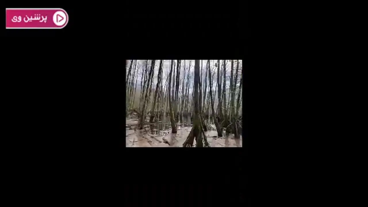 چهره ها در زمان ؛ زهره سادات هاشمی مجری تلویزیون با تیپ جدیدش همه را شوکه کرد + عکس همسر جنتلمنش