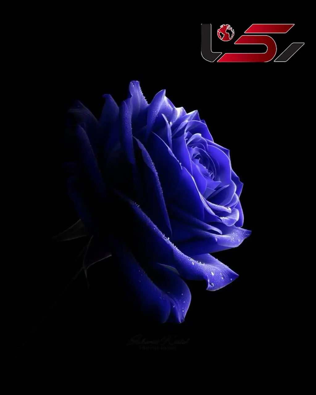 فال ابجد 14 مرداد