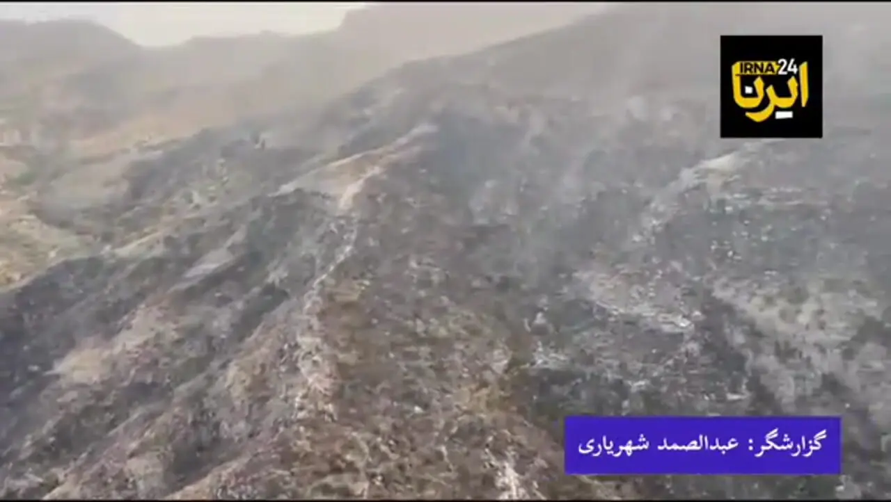 آتش‌سوزی گسترده در ارتفاعات دشتستان مهار شد + فیلم