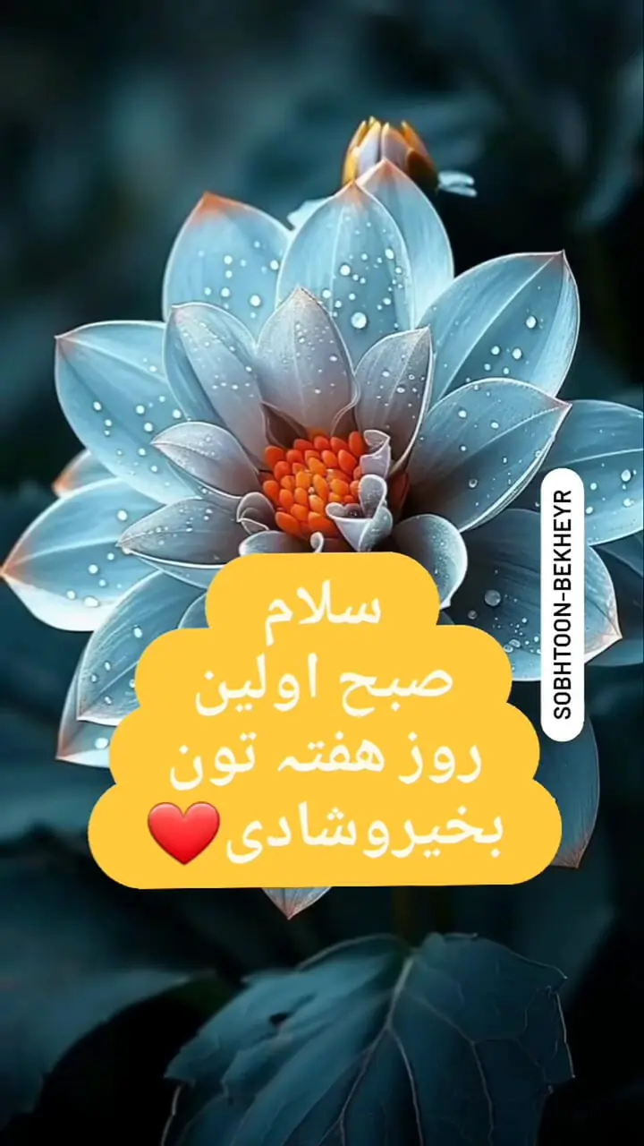 فال ابجد امروز شنبه 11 مرداد