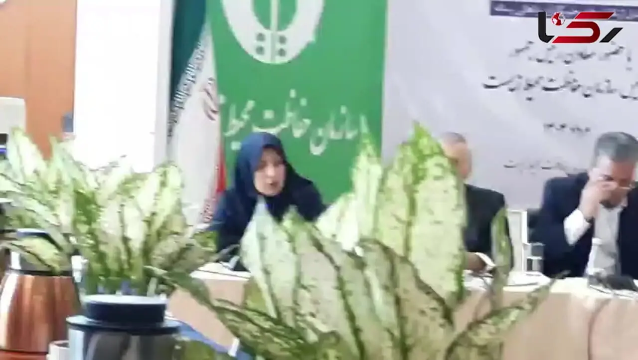 سازمان محیط زیست: هدف ما کاهش یا حذف کامل مازوت‌سوزی در نیروگاه‌هاست + فیلم