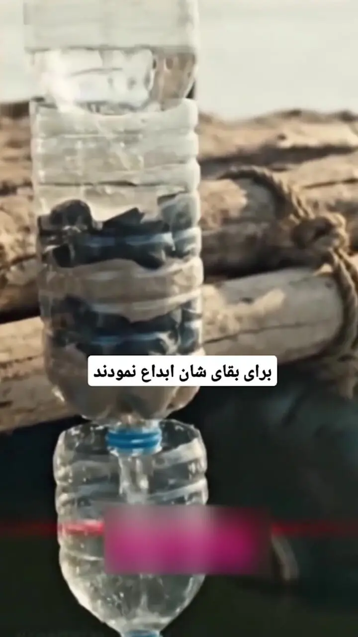 فیلمی که جهان را تکان داد / زوج گمشده 25 سال وسط اقیانوس زنده ماندند !