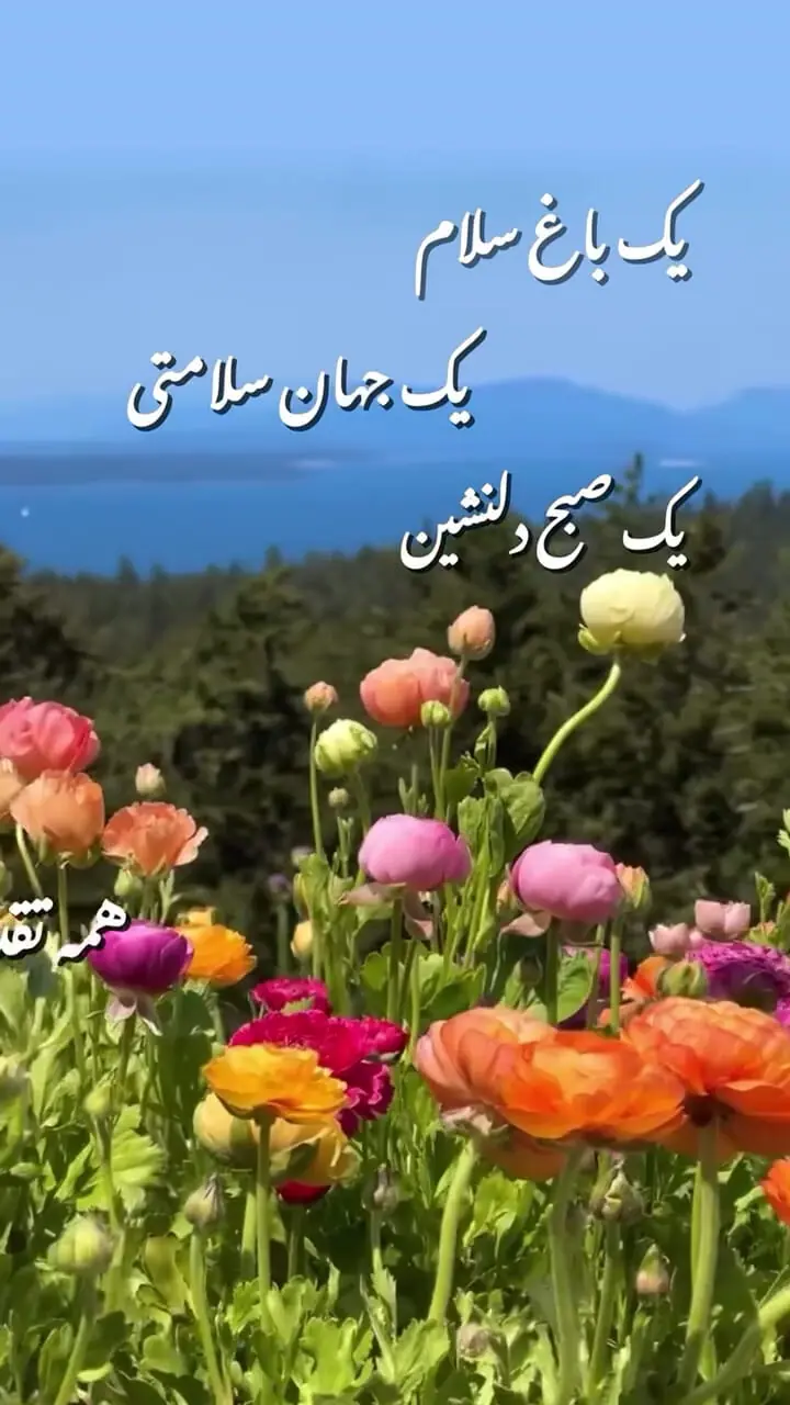 فال ابجد واقعی 18 مرداد