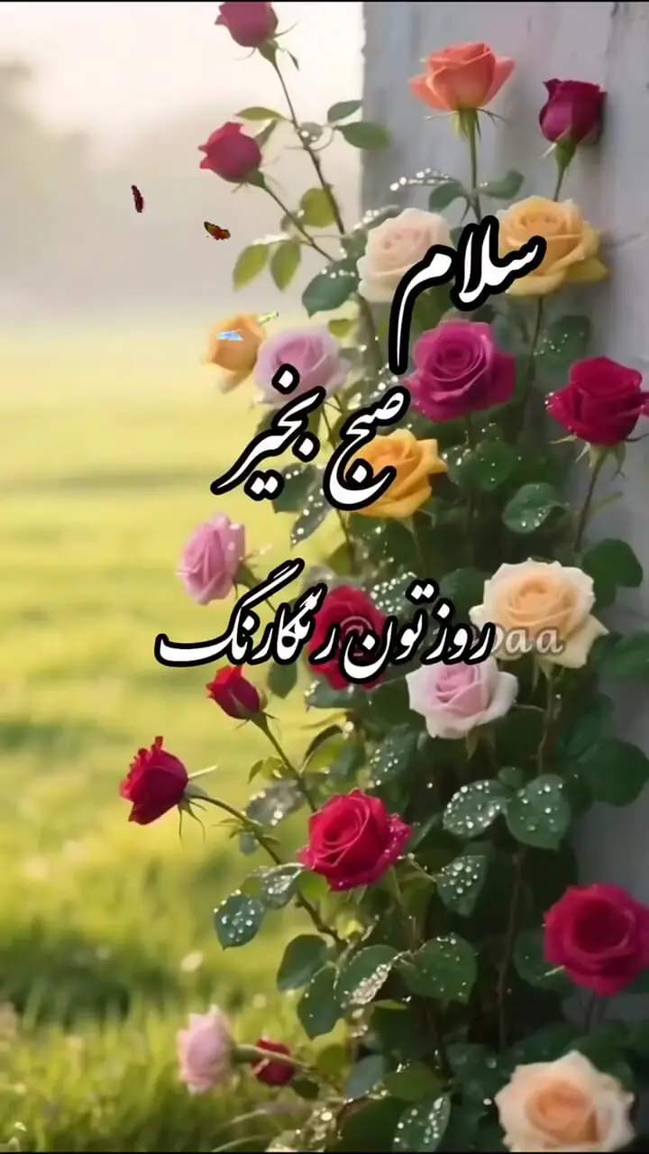 فال روزانه 21 مرداد 1404