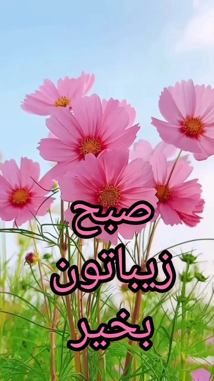 تفسیر فال حافظ امروز 23 مرداد