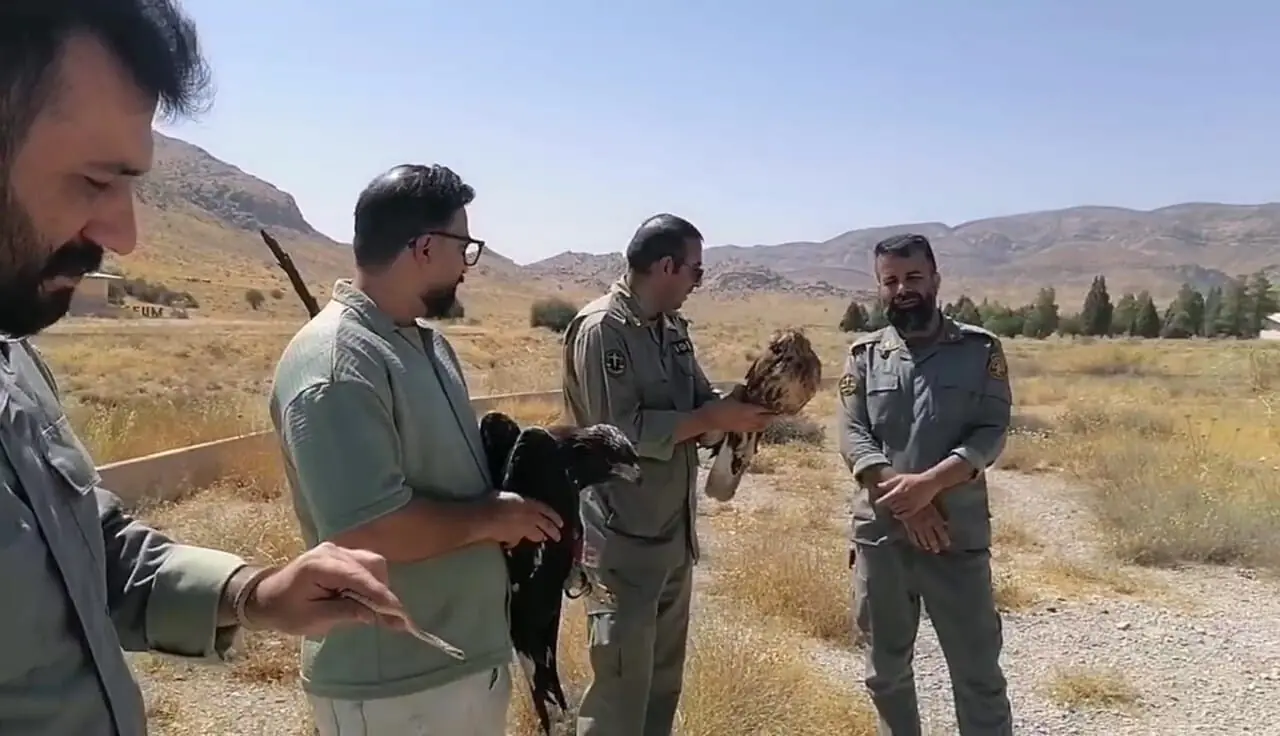 فیلم جذاب از رهاسازی 3 گونه جانوری در پارک ملی بمو
