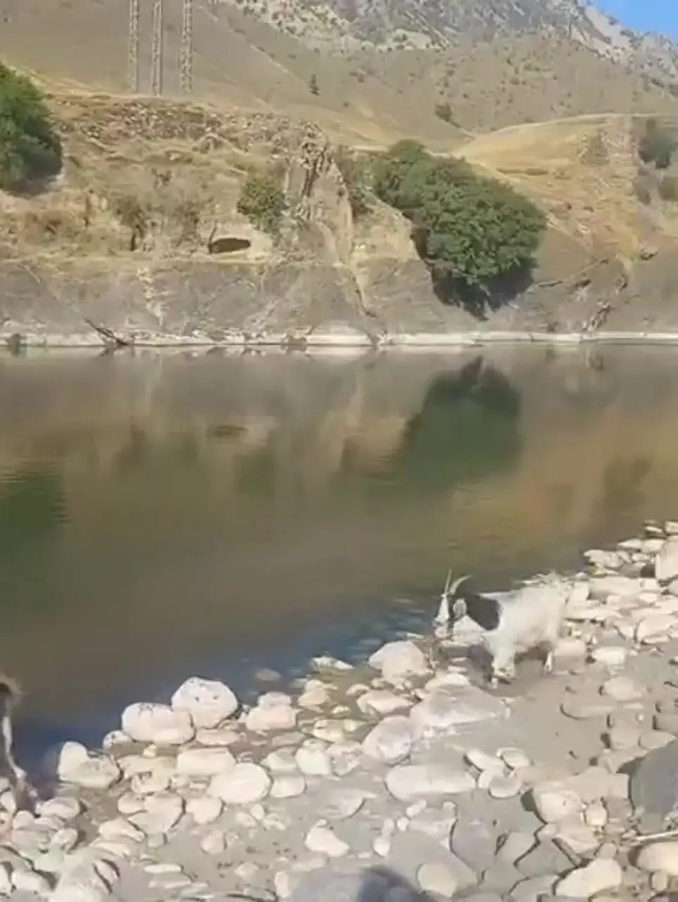 پل نساختید، جان باختیم؛ فریاد مردم بخش پاپی لرستان به گوش مسئولان نمی‌رسد
