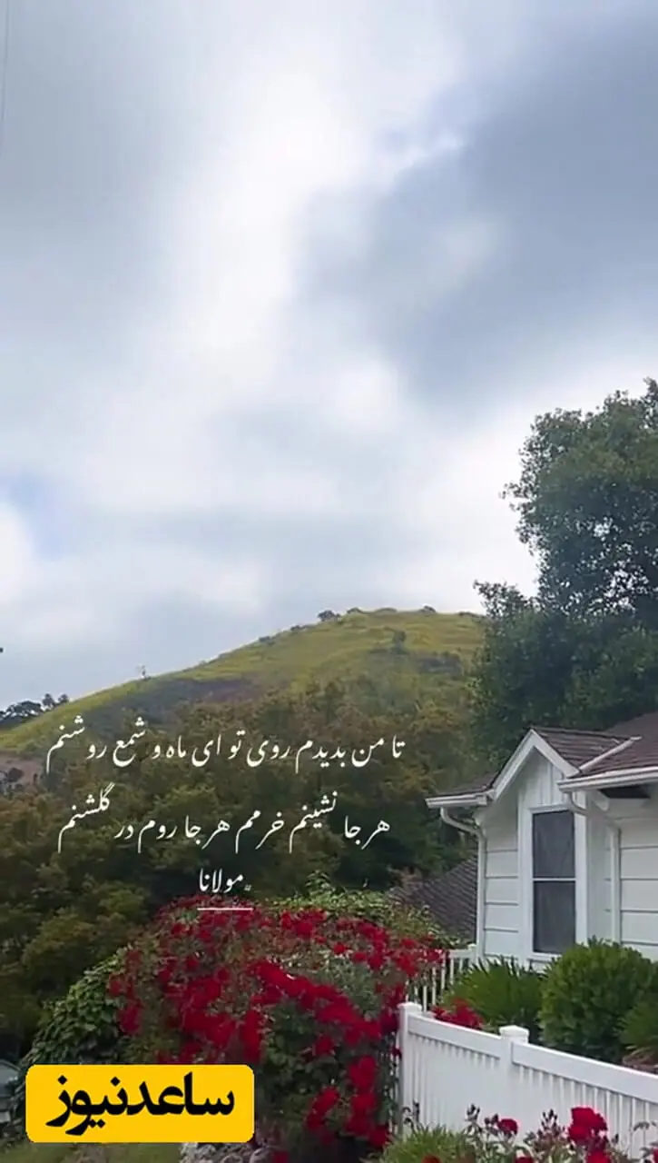 نگاهی به چیدمان کاخ سفید پریچهر قنبری بعد جدایی از شهاب حسینی/ شیشه دکوراتیو درب ورودی، کتابخونه بزرگ، سنبل عشق، رومیزی فرانسوی، تابلو دیواری کوبیسم، لوستر شاخه ای و...