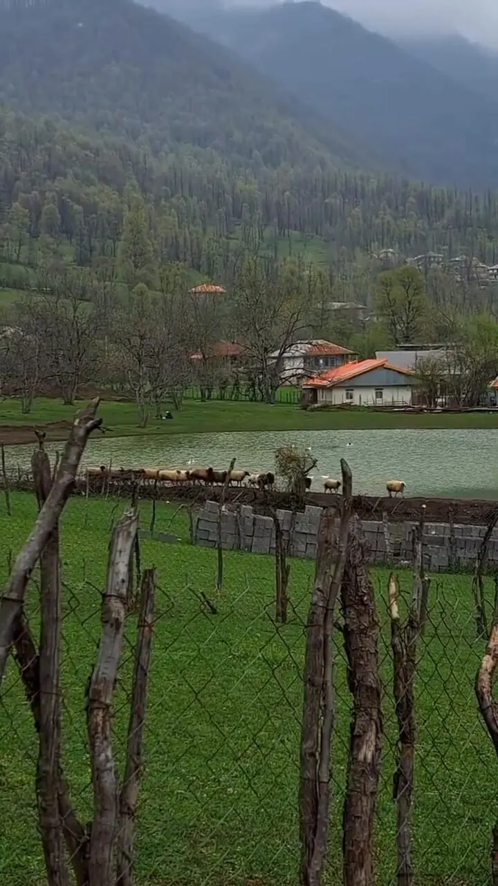 فیلم طبیعت بکر روستای استخرگاه 