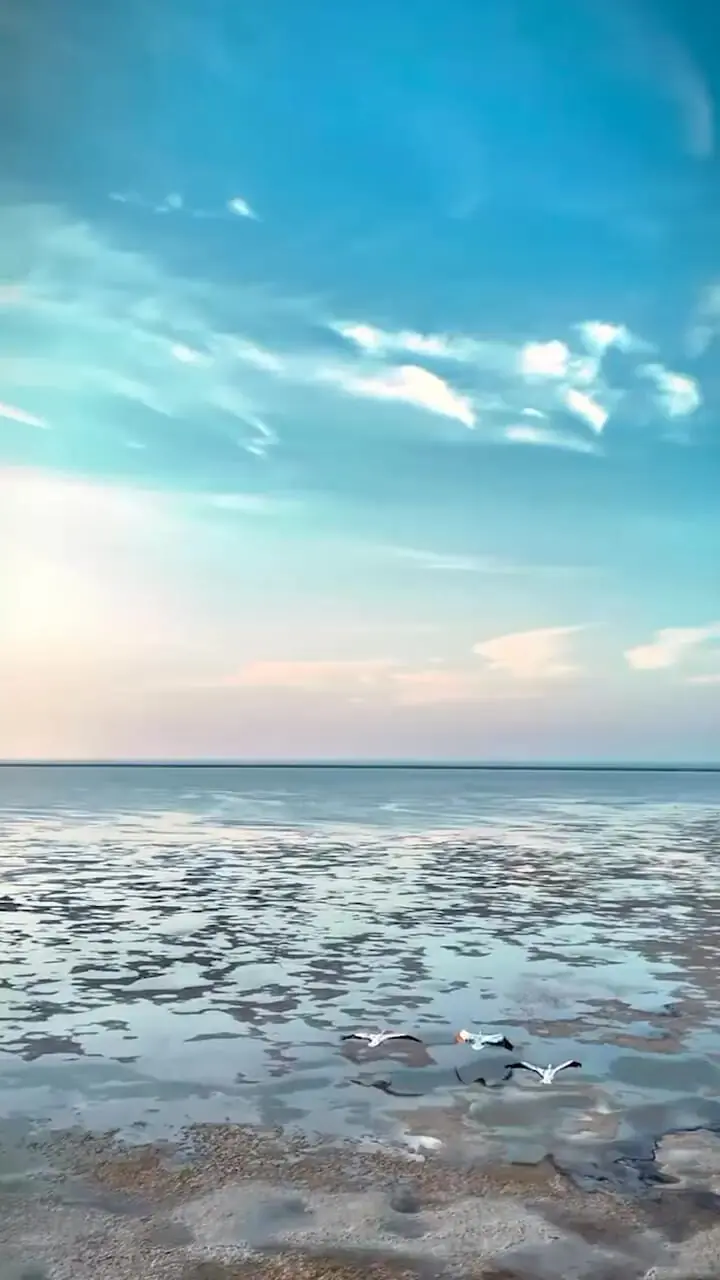 غروب زیبای بندر بوشهر، نقشی از آرامش در کنار دریا