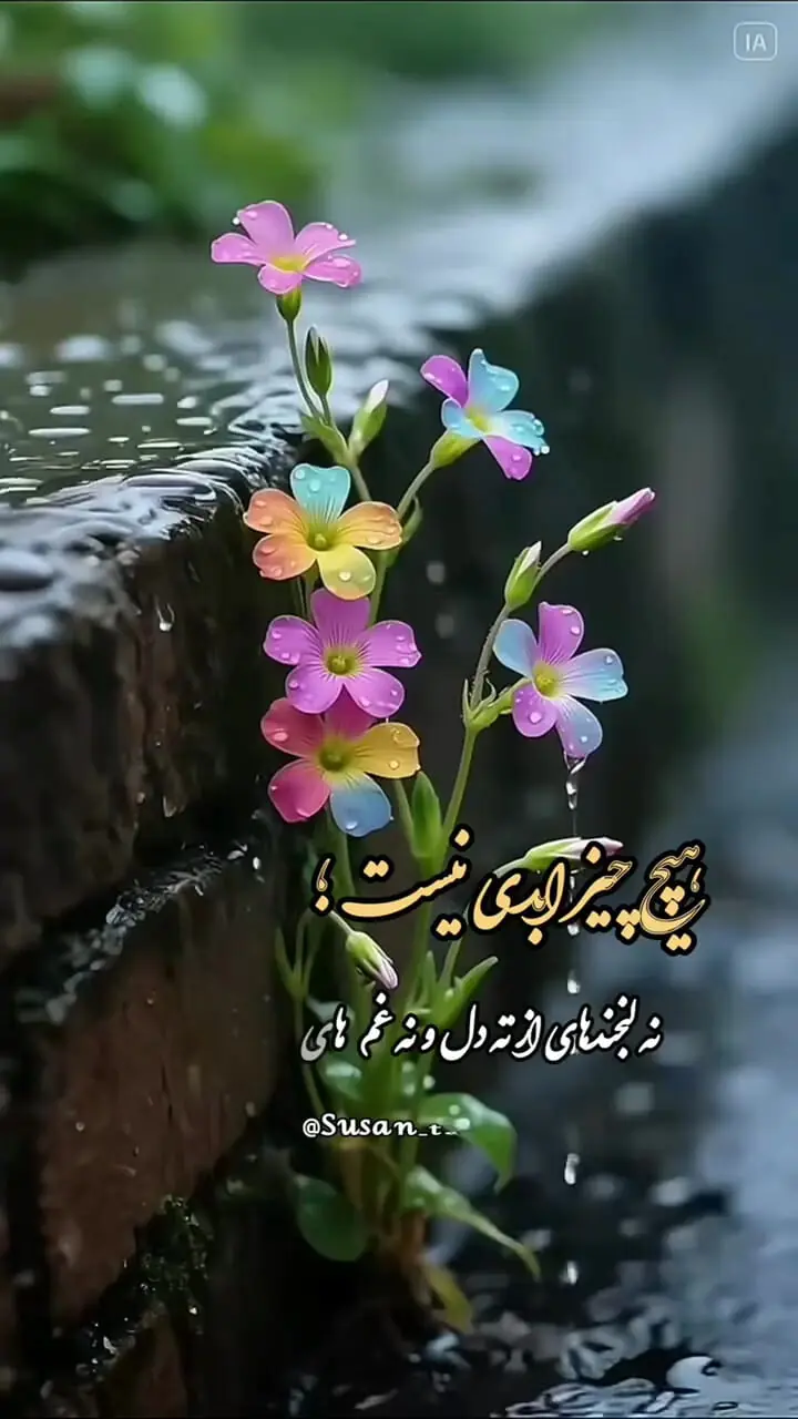 فال و طالع بینی امروز 29 مرداد