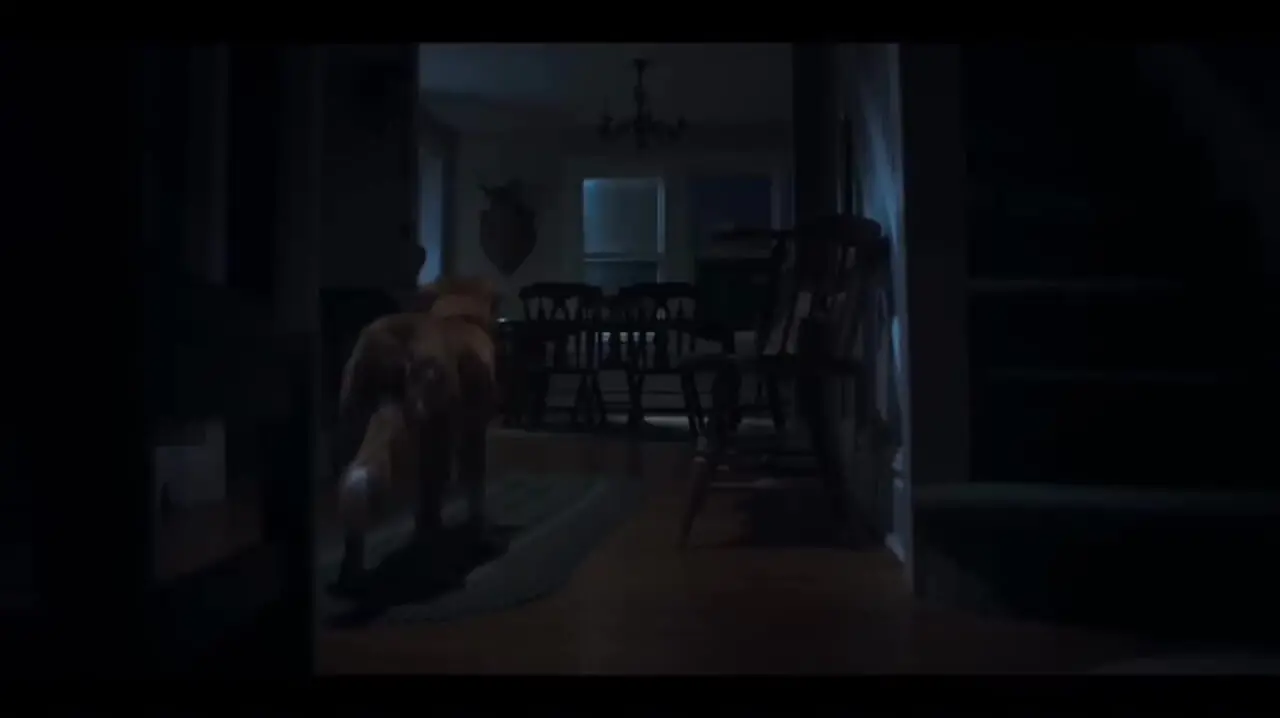 فیلم تریلر ترسناک Good Boy