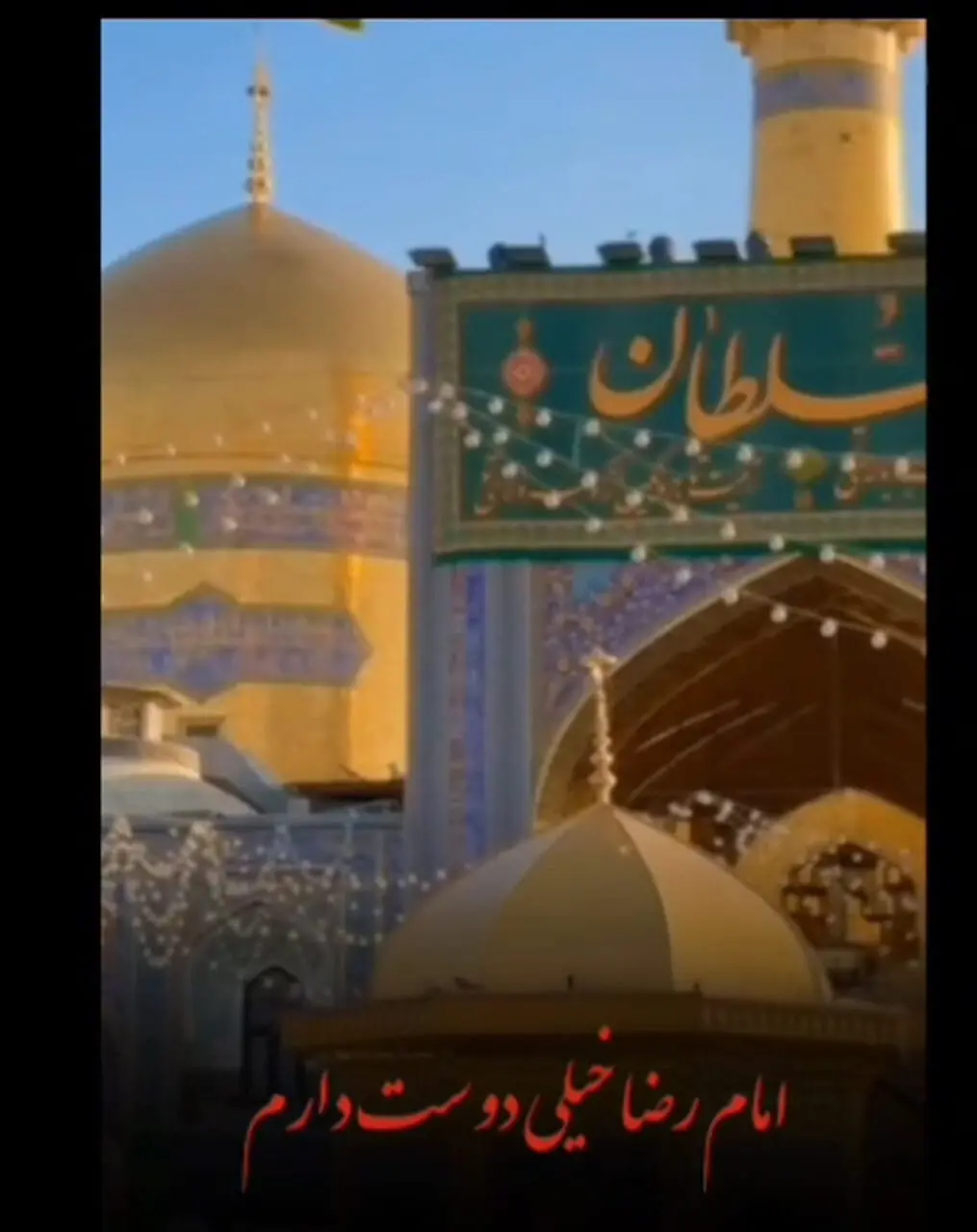 فیلم ارادت ویژه به امام رضا (ع)