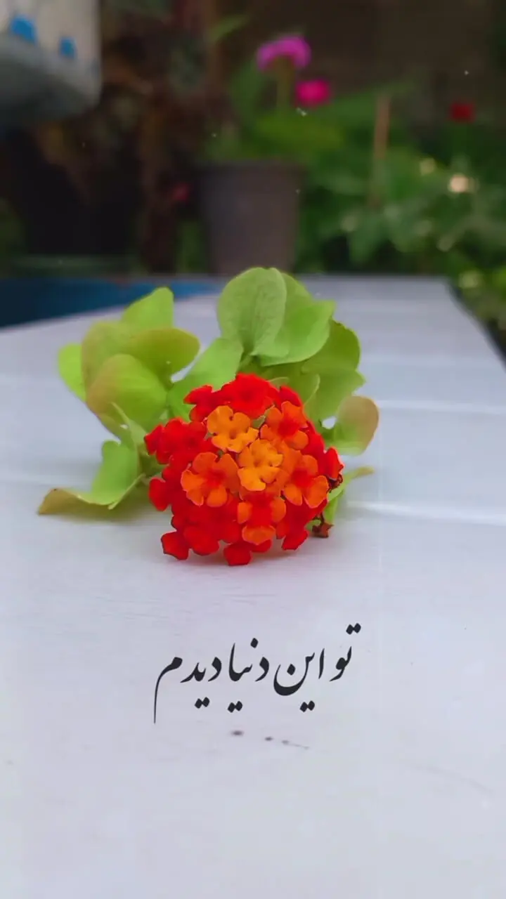 فال حافظ یکم شهریور 1404