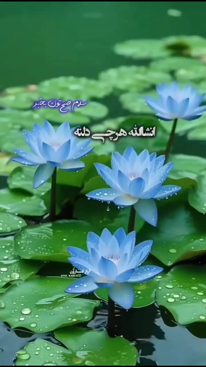 فال ابجد 2 شهریور