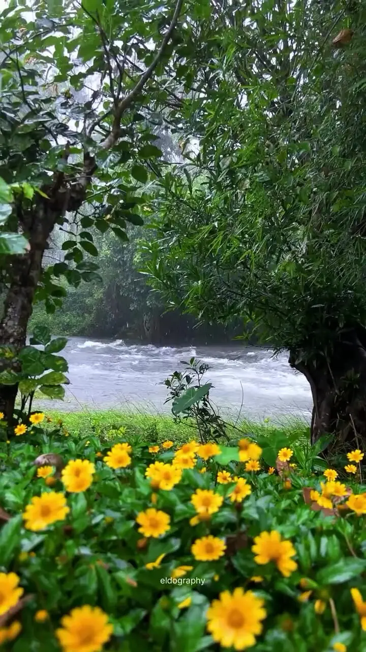 فال و طالع بینی امروز 7 شهریور