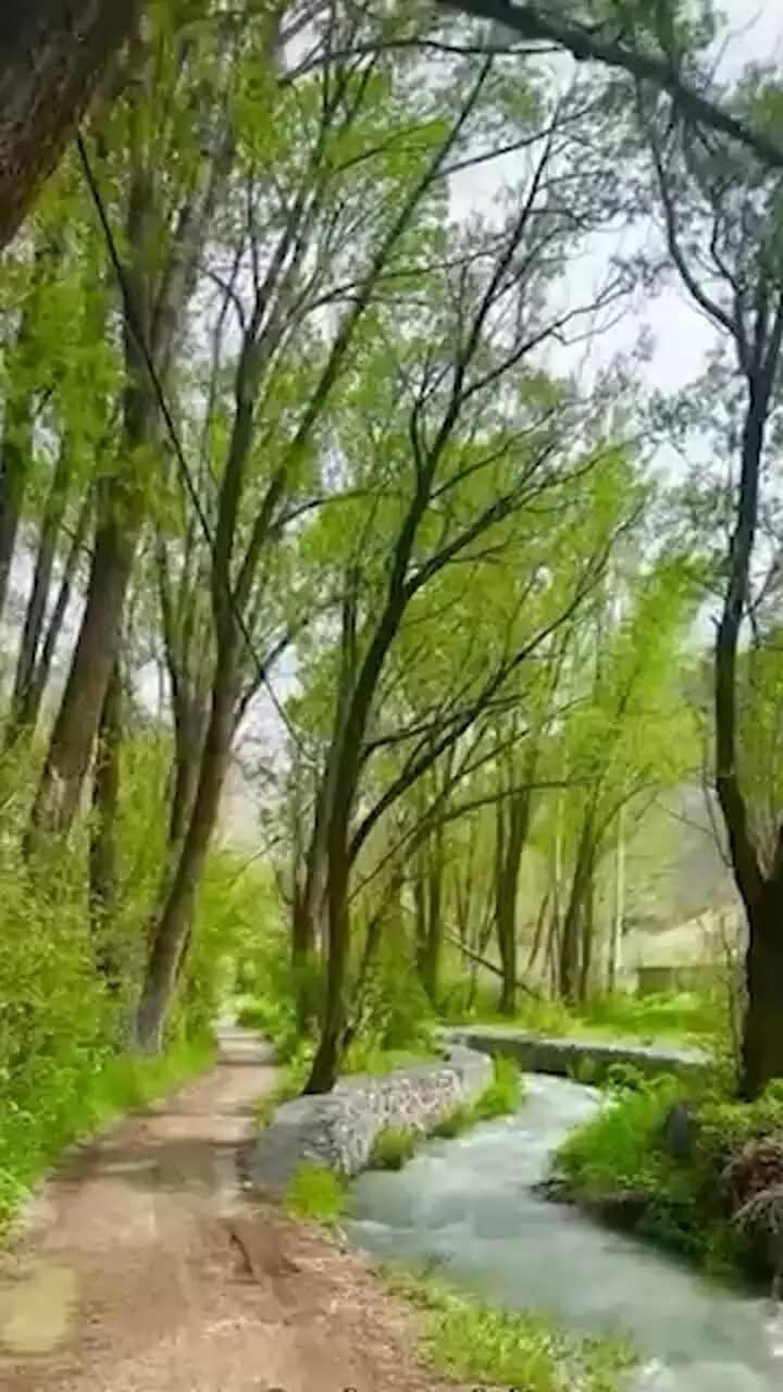طبیعت زیبای روستای شهرستانک