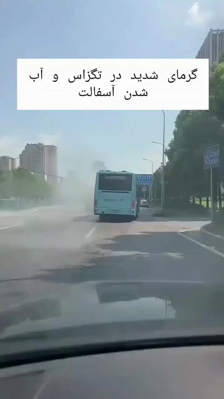 گرمای شدید در تگزاس / از سوختن پای حیوانات تا نمیرو زدن کف خیابان
