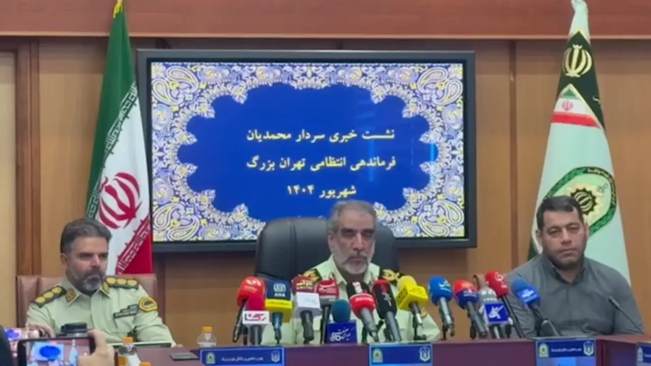 کاهش 34 درصدی سرقت های خشن در تهران / سردار محمدیان خبر داد