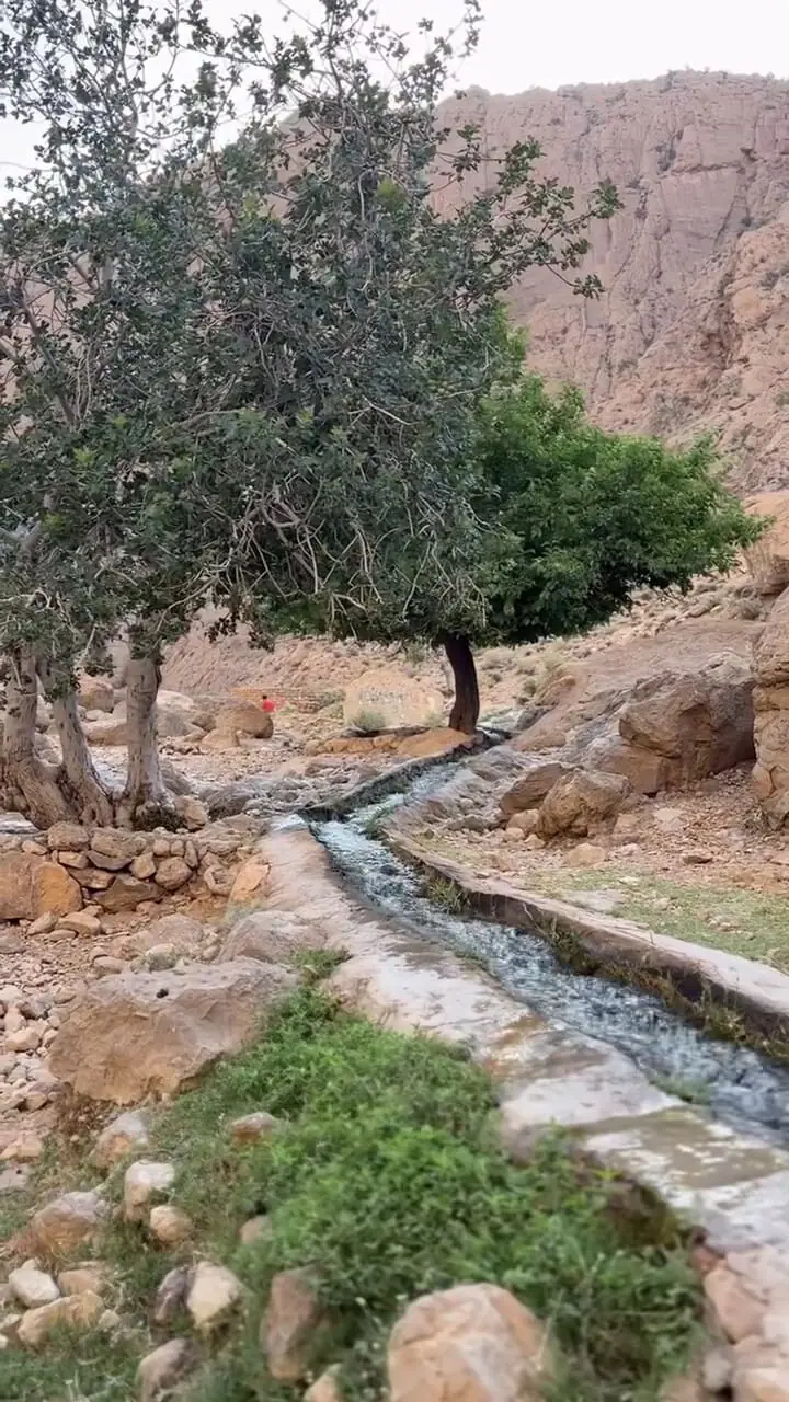 فیلم آرامش و زیبایی تنگ کتویه