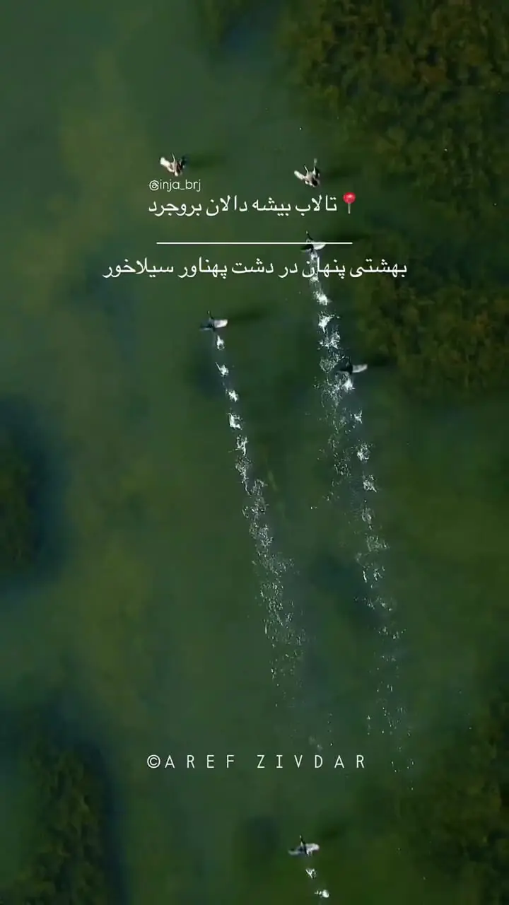 فیلم چشم‌انداز بکر تالاب بشه دالان