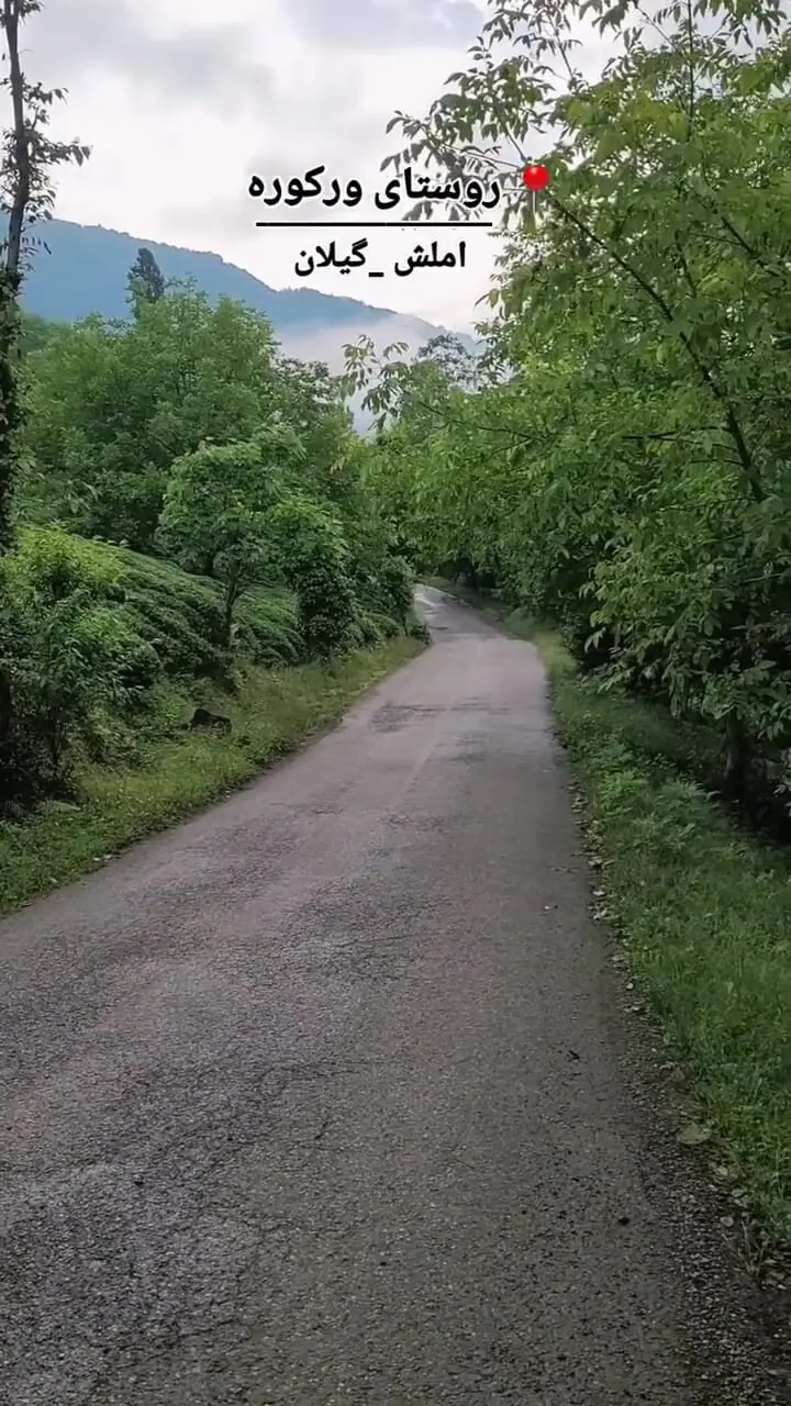 فیلم سرسبزی و زیبایی روستای رانکوه