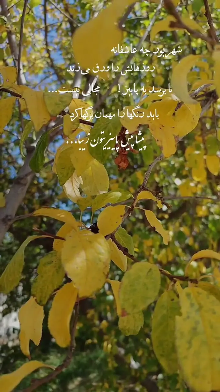 فال و طالع بینی امروز 15 شهریور