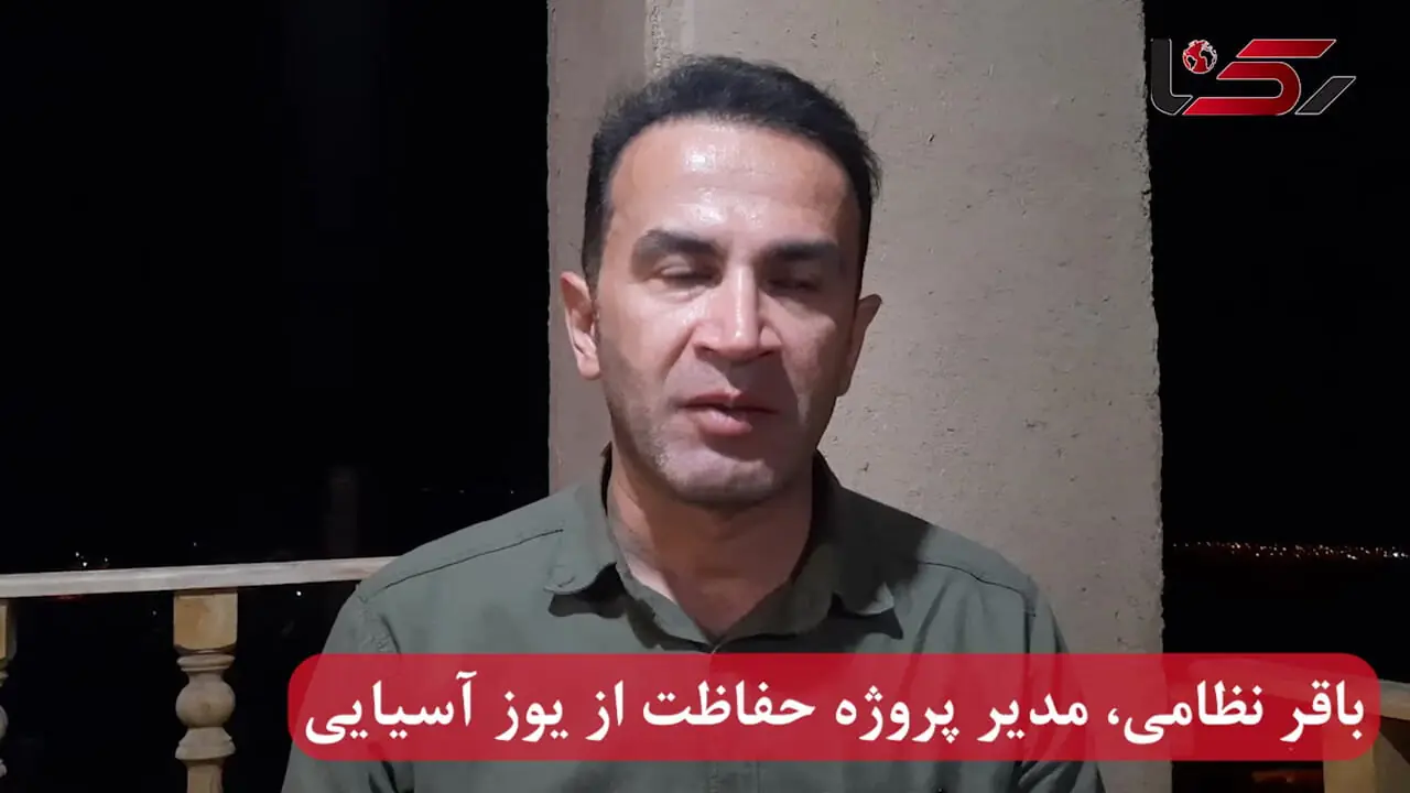 شترها پوشش گیاهی زیستگاه یوزپلنگ ها را می‌بلعند و غذا برایشان باقی نمی‌گذارند / جمعیت شترها بیش از ۲۰ برابر ظرفیت طبیعی منطقه است + فیلم