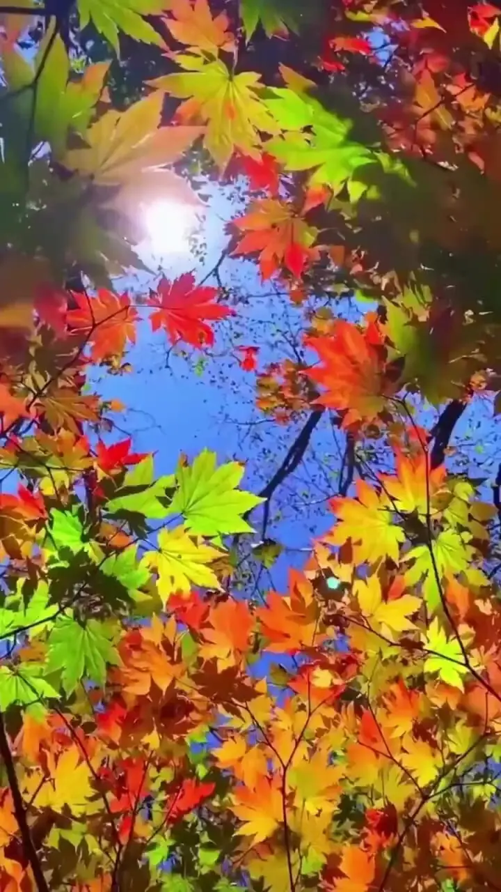 فال حافظ 22 شهریور