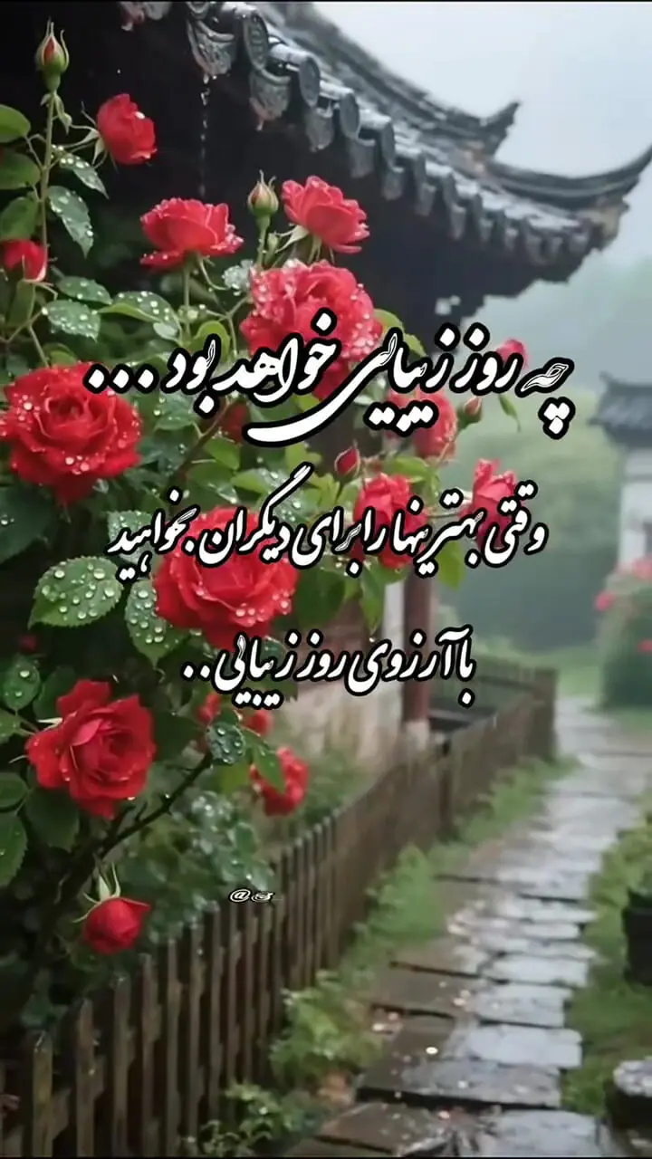 فال قهوه 23 شهریور 1404: خبرهای خوش برای زندگی خانوادگی و سلامت شما
