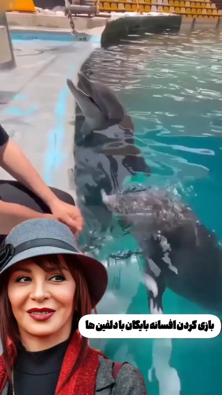 فیلم بازی کردن افسانه بایگان با دلفین ها در استخر + بیوگرافی