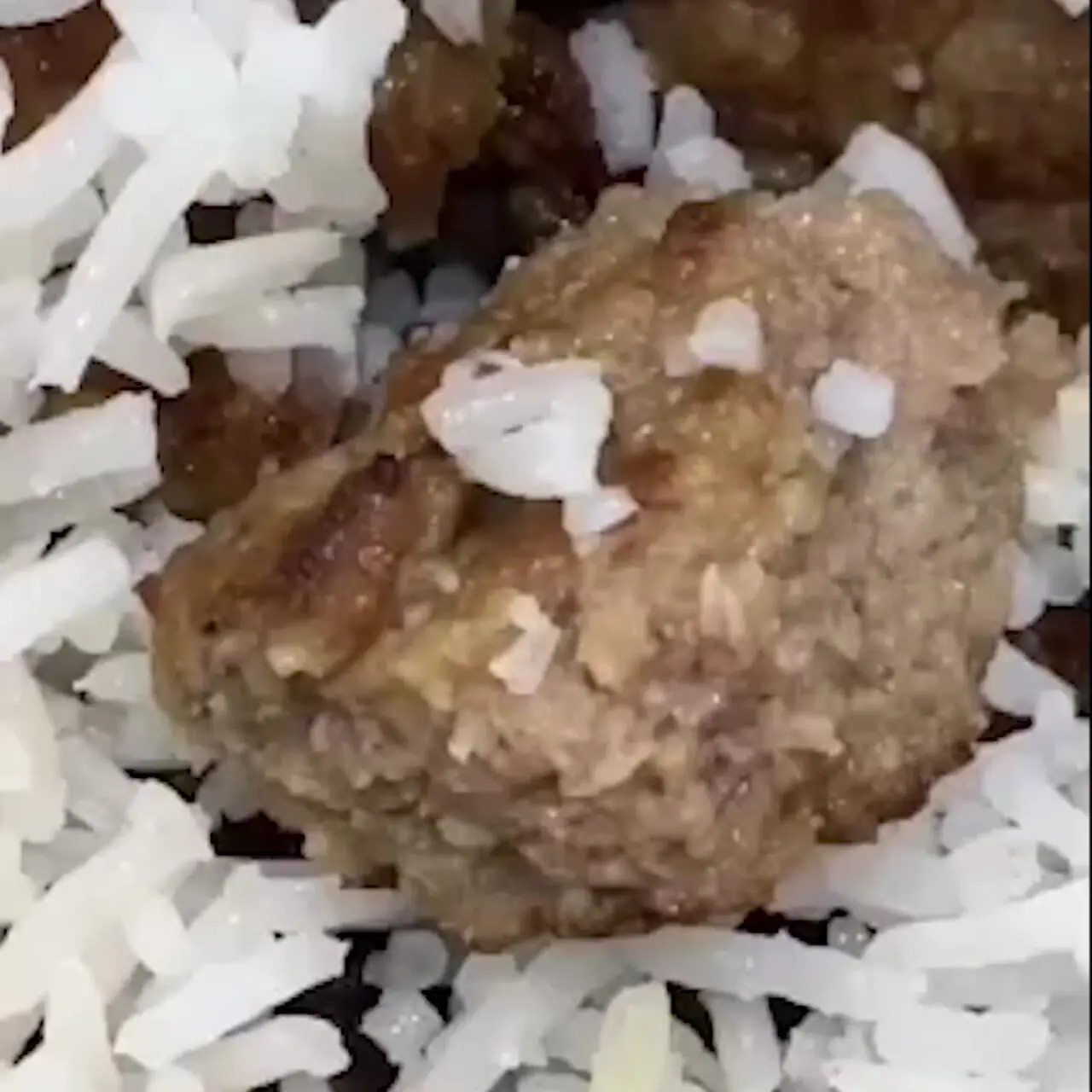 فیلم کباب کرم زده در دانشگاه علوم پزشکی همدان + واکنش مسئولان دانشگاه به توزیع غذای بی کیفیت در سلف