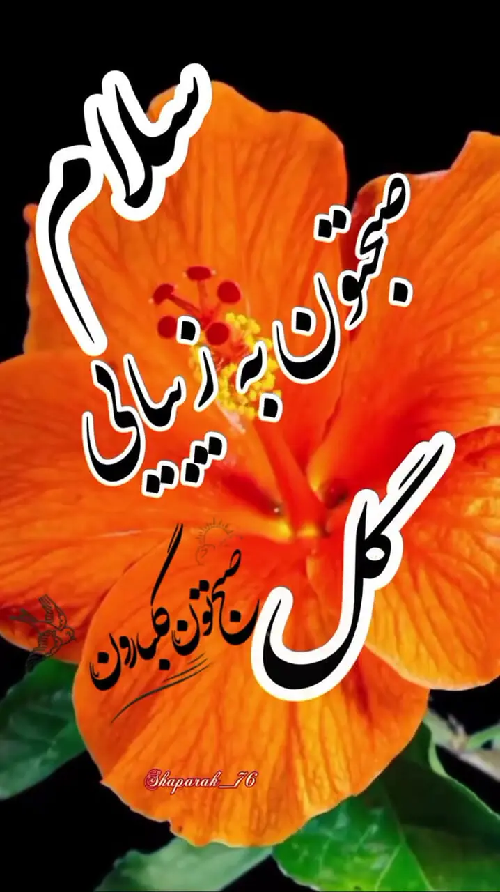 فال ابجد امروز 28 شهریور