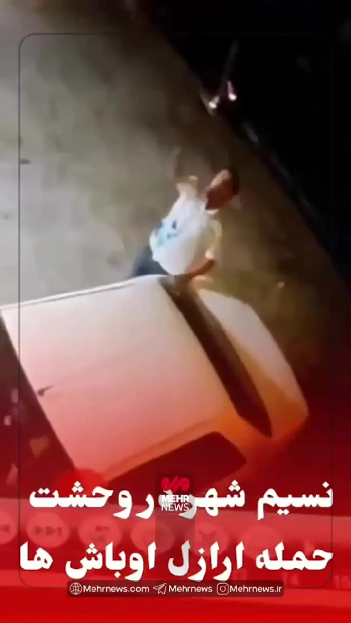 فیلم لحظه حمله اوباش با ایجاد رعب و وحشت به نسیم‌شهر