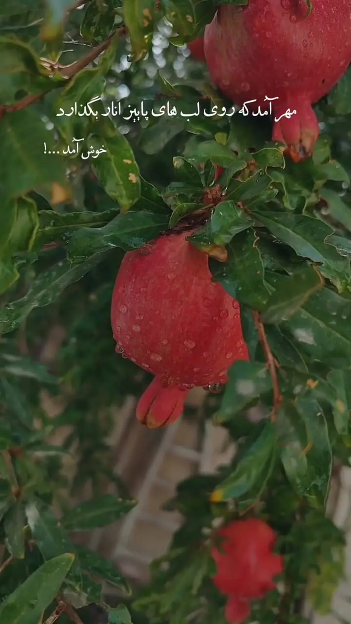 فال و طالع بینی امروز 2 مهر
