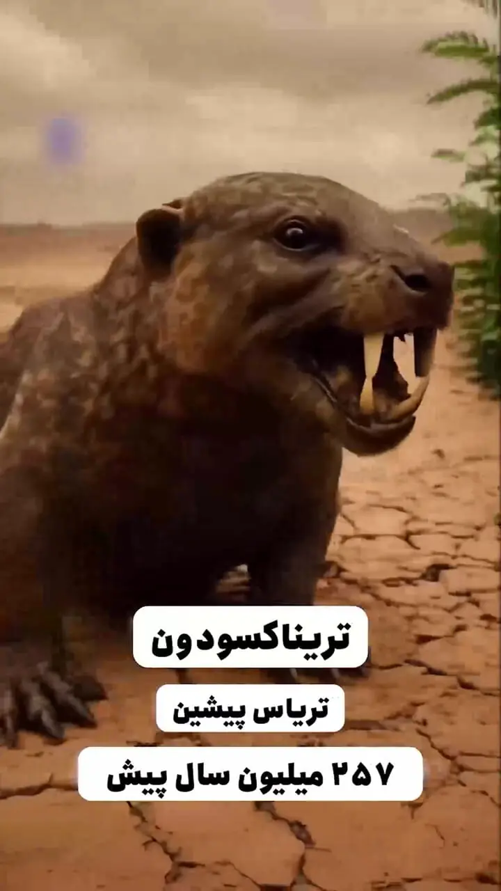 فیلم تحلیلی درباره نقش انسان در تکامل سگ‌ها