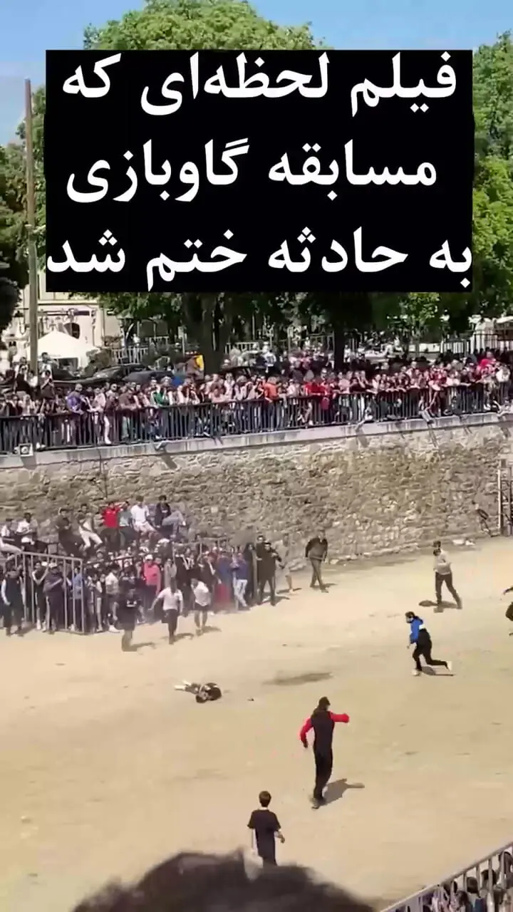 فیلم لحظه‌ای که مسابقه گاوبازی به حادثه دردناکی ختم شد