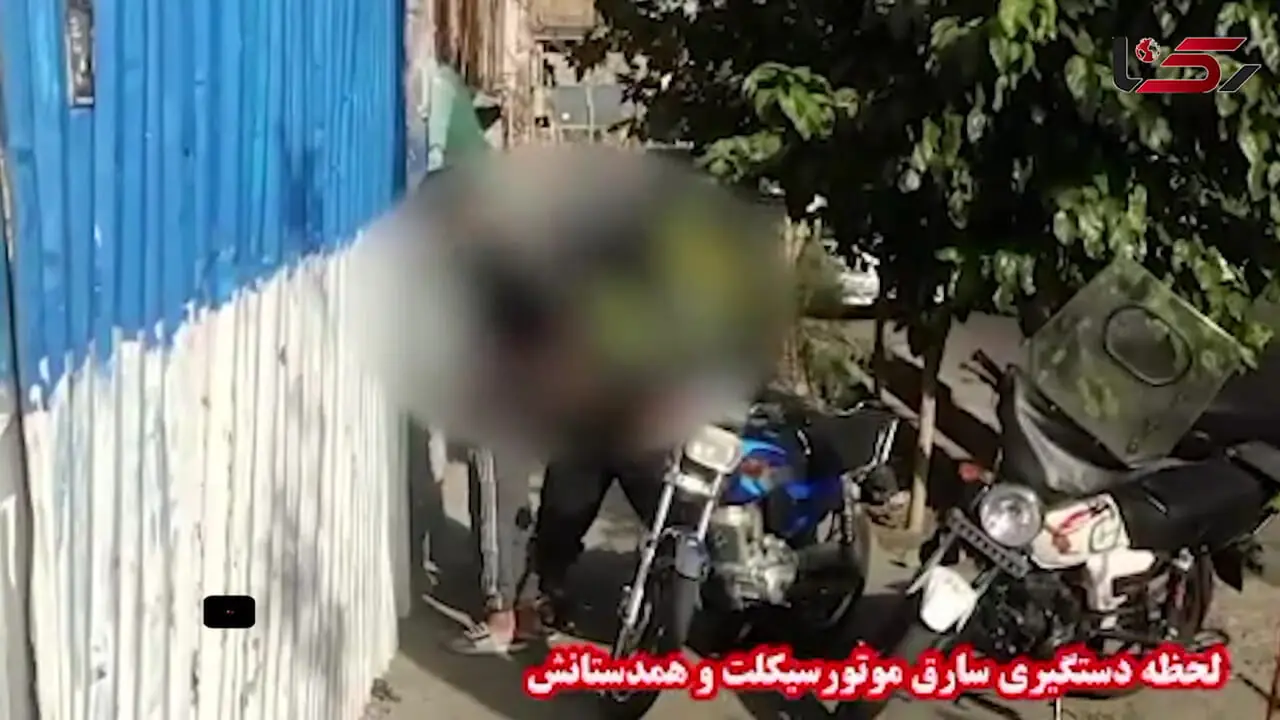 فیلم لحظه دستگیری سارق حرفه‌ای / پلیس قبل از هرگونه اقدام متهم را متوقف کرد
