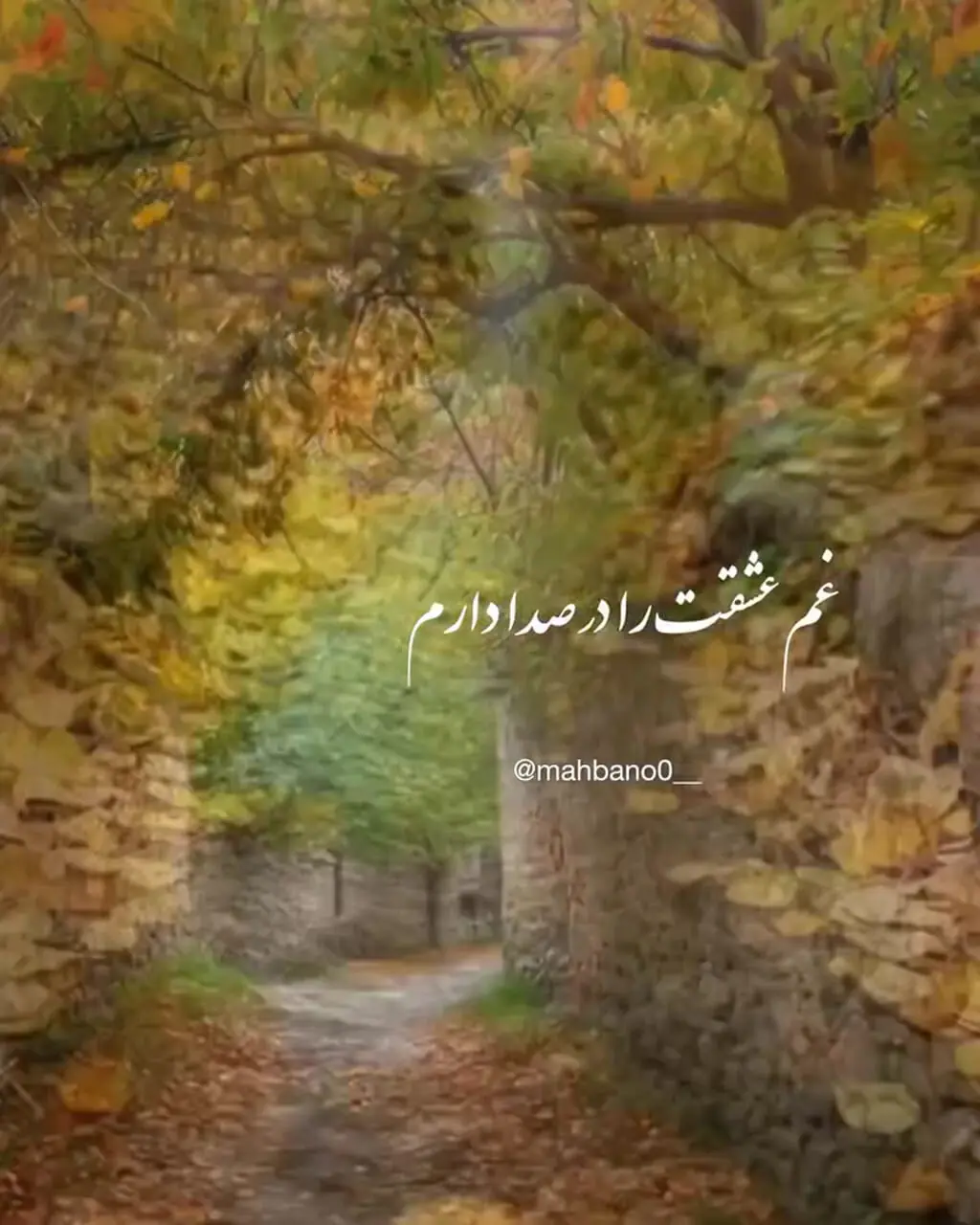 فال و طالع بینی روزانه 4 مهر