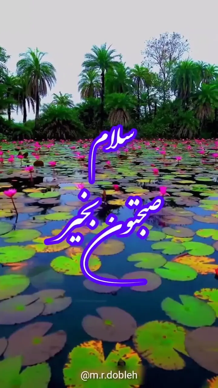 فال حافظ 5 مهر ماه + تفسیر