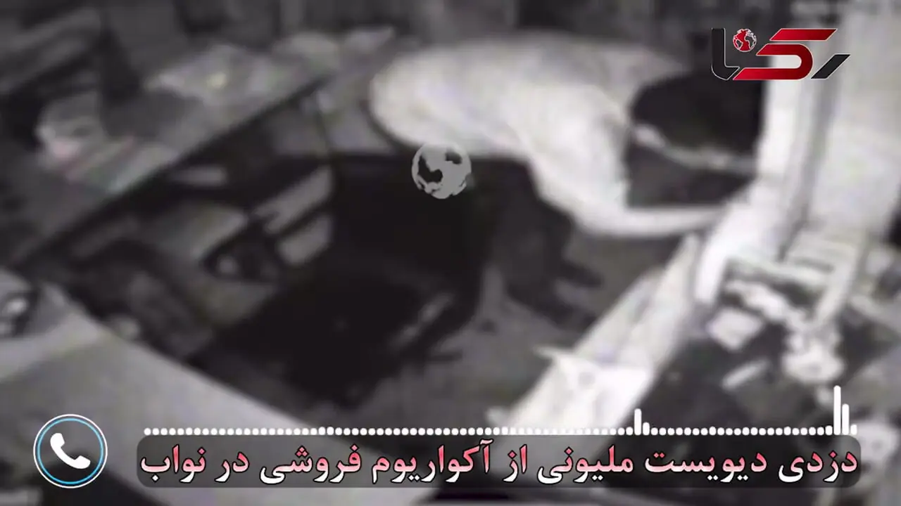 فیلم دزدی از آکواریم فروشی در نواب تهران / دزدها فقط ماهی ها را نبردند!