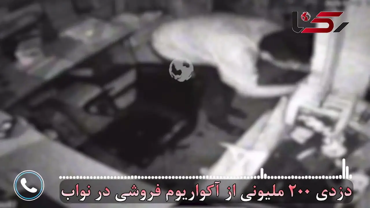 فیلم دزدی از آکواریم فروشی در نواب تهران / دزدها فقط ماهی ها را نبردند!