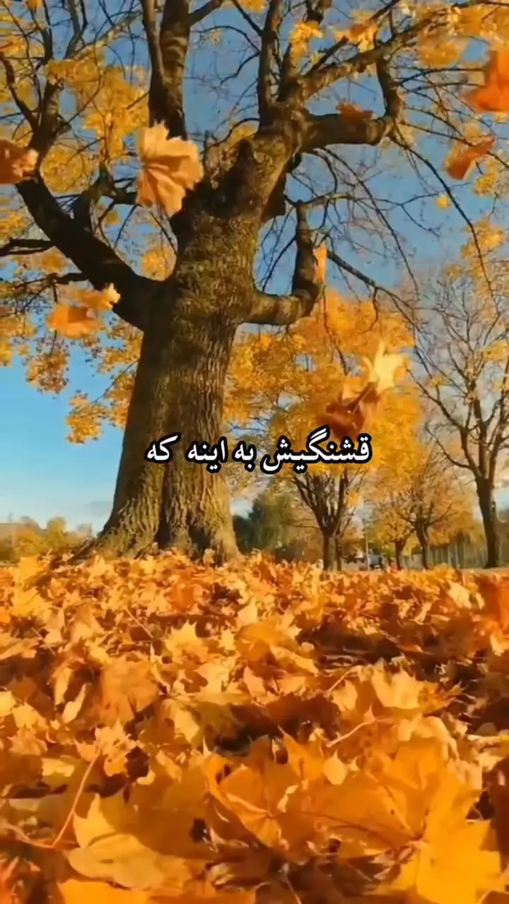 فال حافظ متولدین هر ماه در 6 مهر 1404