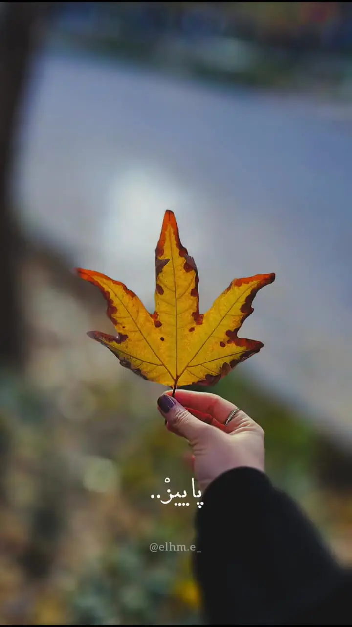 فال ابجد 7 مهر