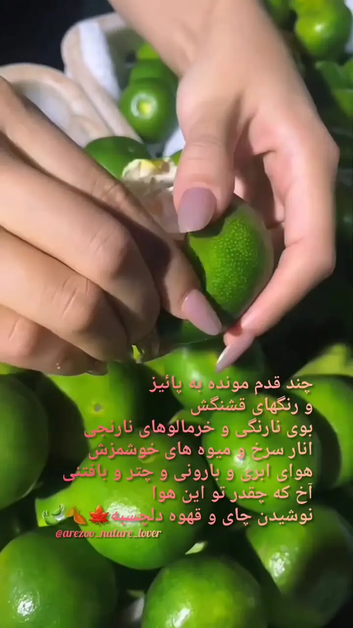 نیت کن و فال حافظ 8 مهر را بخوان