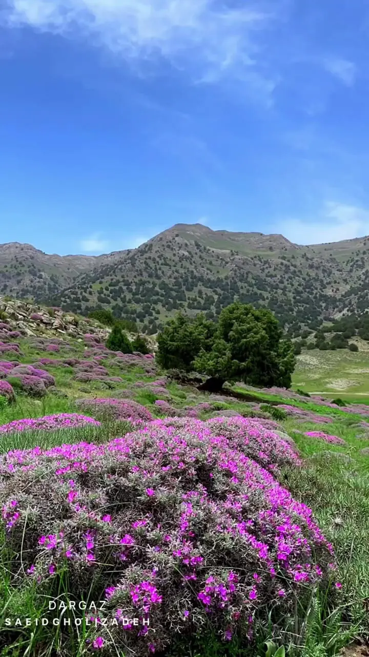 فیلم چشم‌انداز کوهستانی میانکوه خراسان